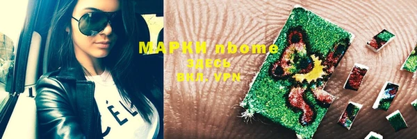 ГАЛЛЮЦИНОГЕННЫЕ ГРИБЫ Семёнов