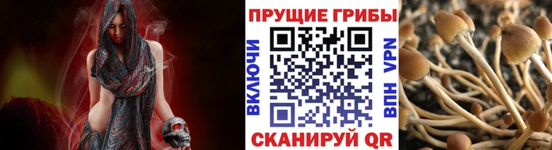 закладки  Сусуман  Псилоцибиновые грибы ЛСД 